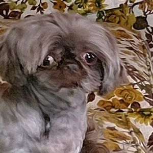 Meet your Posher, Rosemarie